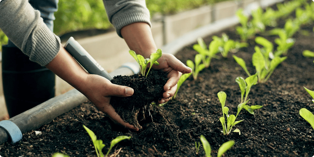 Comment choisir le matériau adapté à votre jardin ?