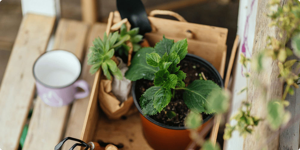Accessoiriser son coffre pour optimiser le rangement